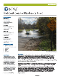 Click to download Coastal Resilience Fund Grantees